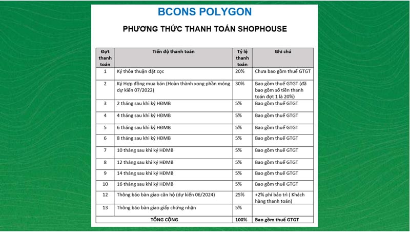 phương thức thanh toán bcons polygon