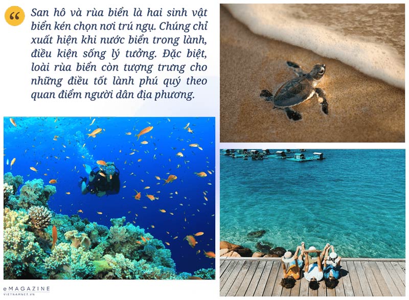 Hải Giang Quy Nhơn bán đảo của những kỳ quan độc nhất